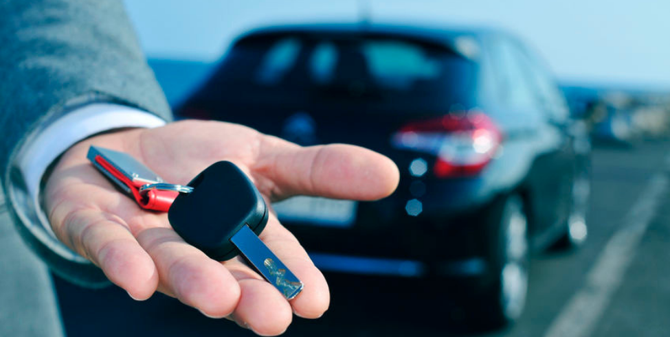 Daily car rental guide
